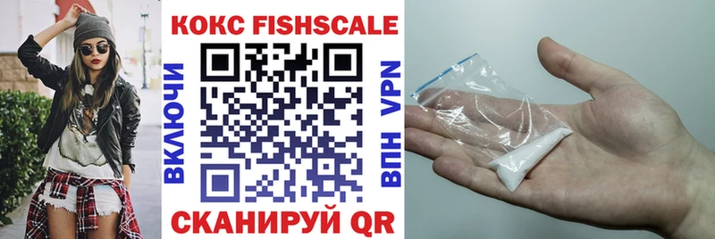 где можно купить наркотик  Ясный  Cocaine FishScale 